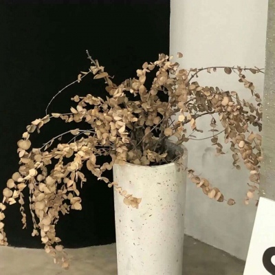 龙湖FurryQQ群介绍